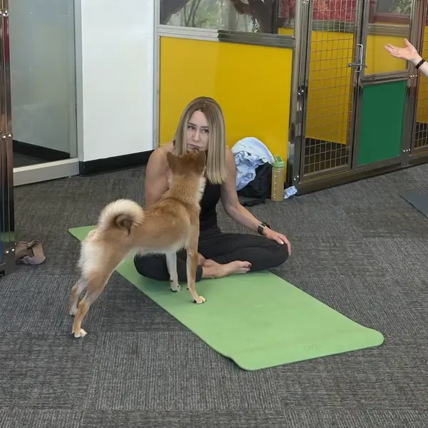 Puppy yoga class at K9 Rox Club Las Vegas
